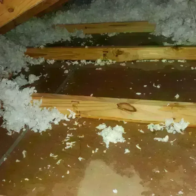 Attic Water Damage in Sutherlin, OR